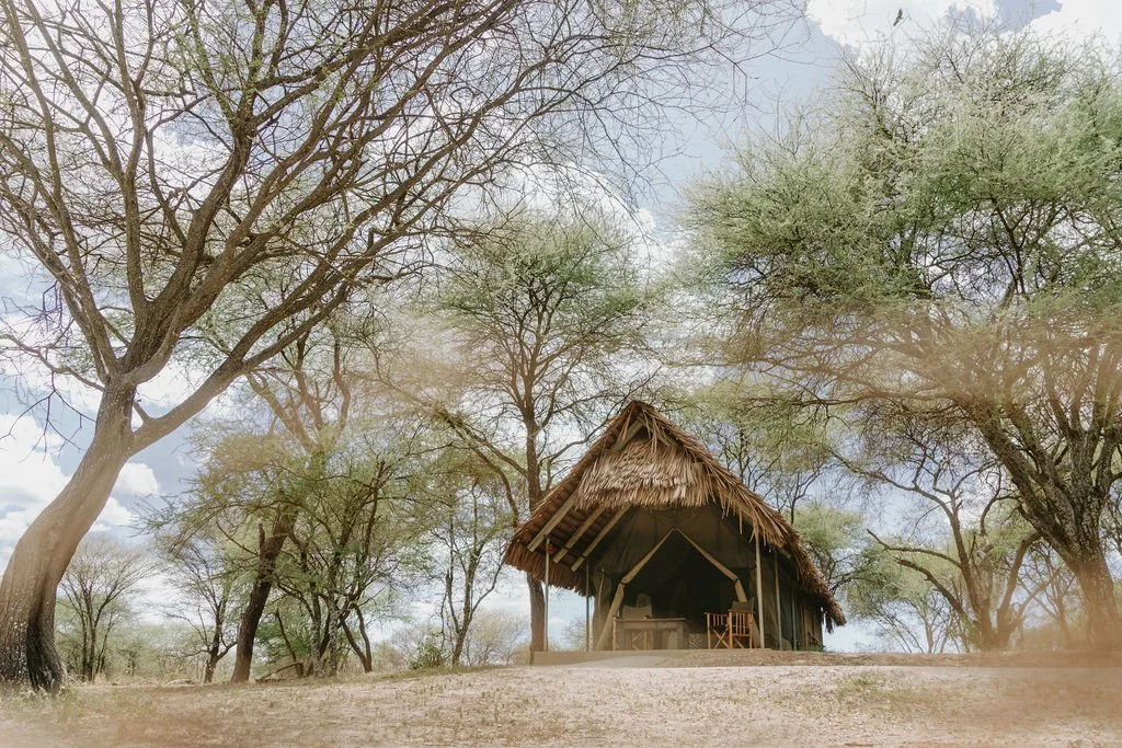 Tarangire Safari Lodge